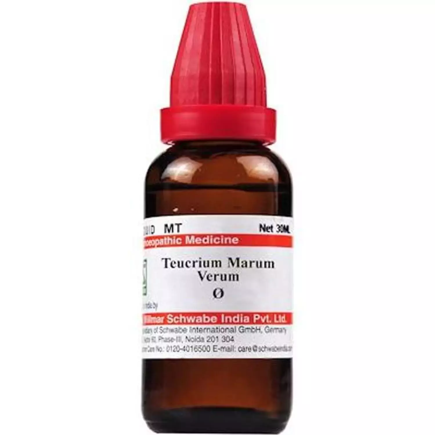 Teucrium Marum Verum Homeopathy Mother Tincture